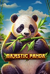 Majestic Panda