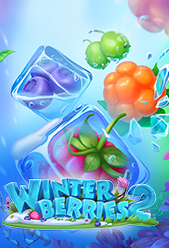Winterberries 2