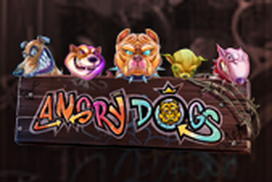 Angry Dogs