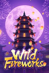 Wild Fireworks