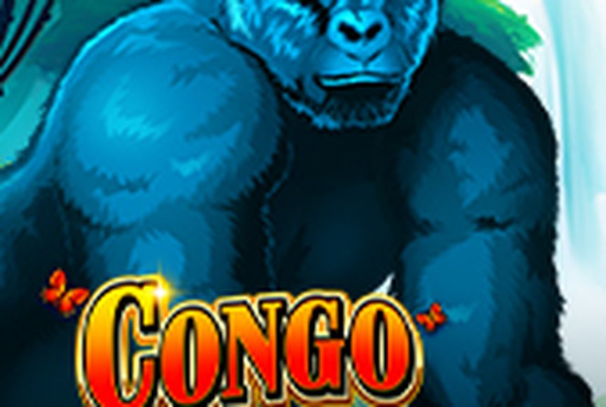 Congo Cash XL