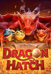 Dragon Hatch