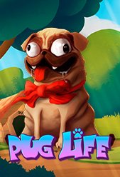 Pug Life