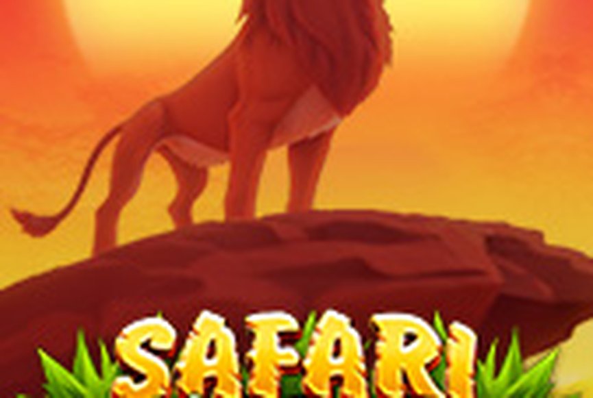 Safari Mystery