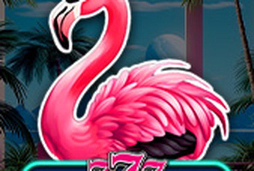 Flamingo Fever