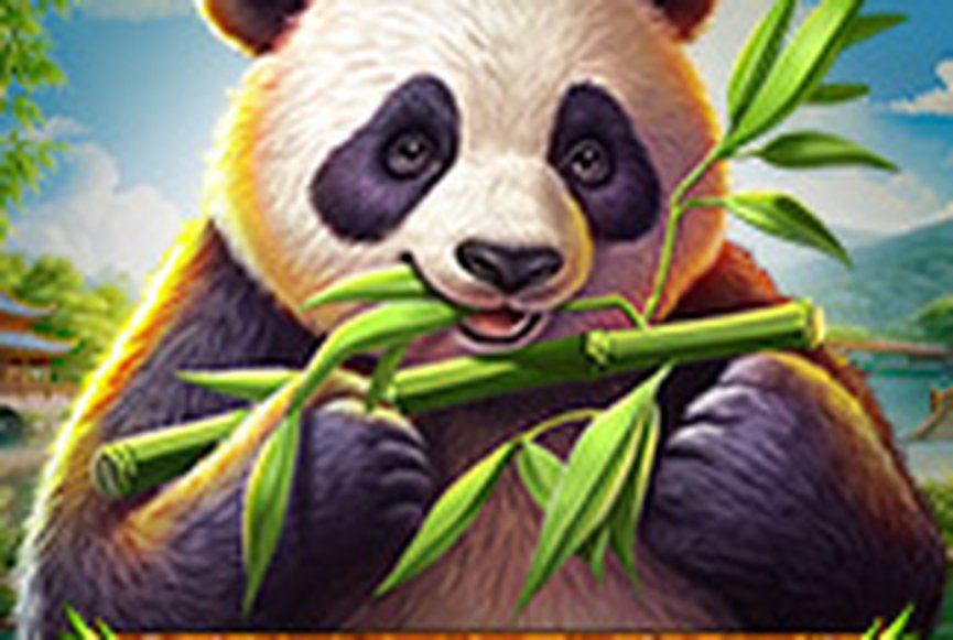 Majestic Panda