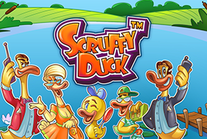 Scruffy Duck