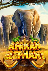 African Elephant™