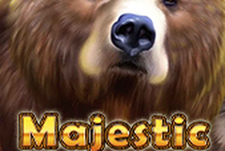 Majestic Forest