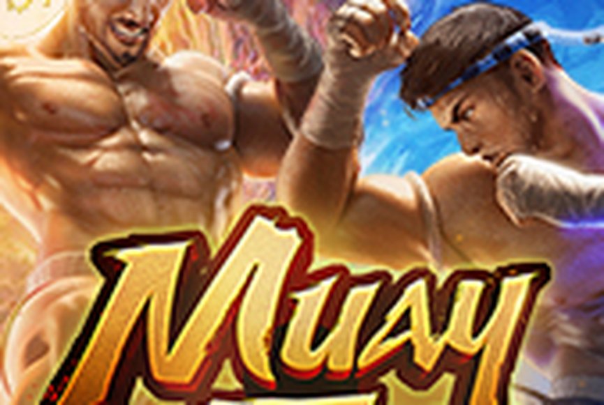 Muay Thai Champion