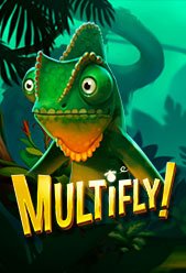 Multifly!