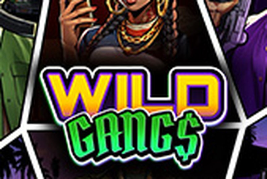 Wild Gangs