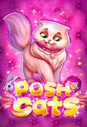 Posh Cats
