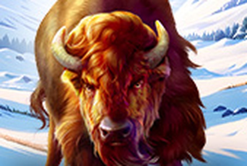 Majestic Wild Buffalo - Winter Wonderland